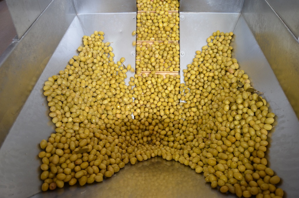 zeytinyagi-sektoru-2 Türk zeytin ve zeytinyağı sektörü Kanada’yı radarına aldı