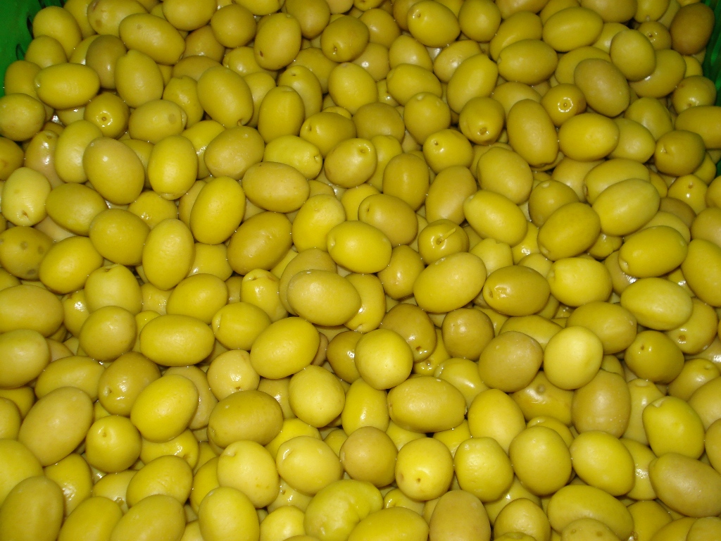 zeytinyagi-sektoru-4 Türk zeytin ve zeytinyağı sektörü Kanada’yı radarına aldı