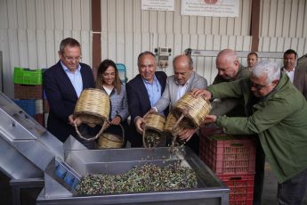 0000000-345x230 AYVALIK’TAN DOPDOLU PROGRAMIYLA BİR FESTİVAL DAHA GEÇTİ