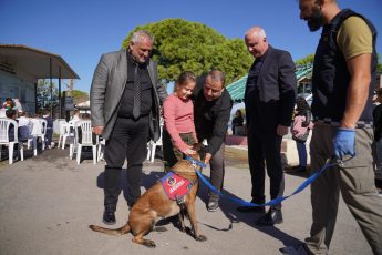 01-3-345x230 AYVALIK BELEDİYESİ’NDEN DÜNYA HAYVANLARI KORUMA GÜNÜ’NDE ANLAMLI MESAJ: “SATIN ALMA, SAHİPLEN”