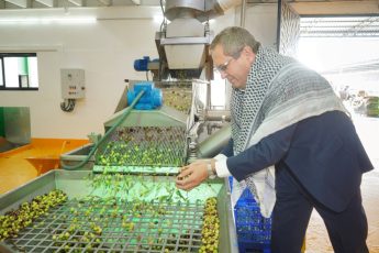 01-3-345x230 “Yerin altının değil, üstünün daha kıymetli olduğuna inanıyorum” diyen Başkan Mesut Ergin; “ZEYTİNYAĞI AYVALIK’IN VAZGEÇİLMEZ BİR KÜLTÜRÜDÜR”