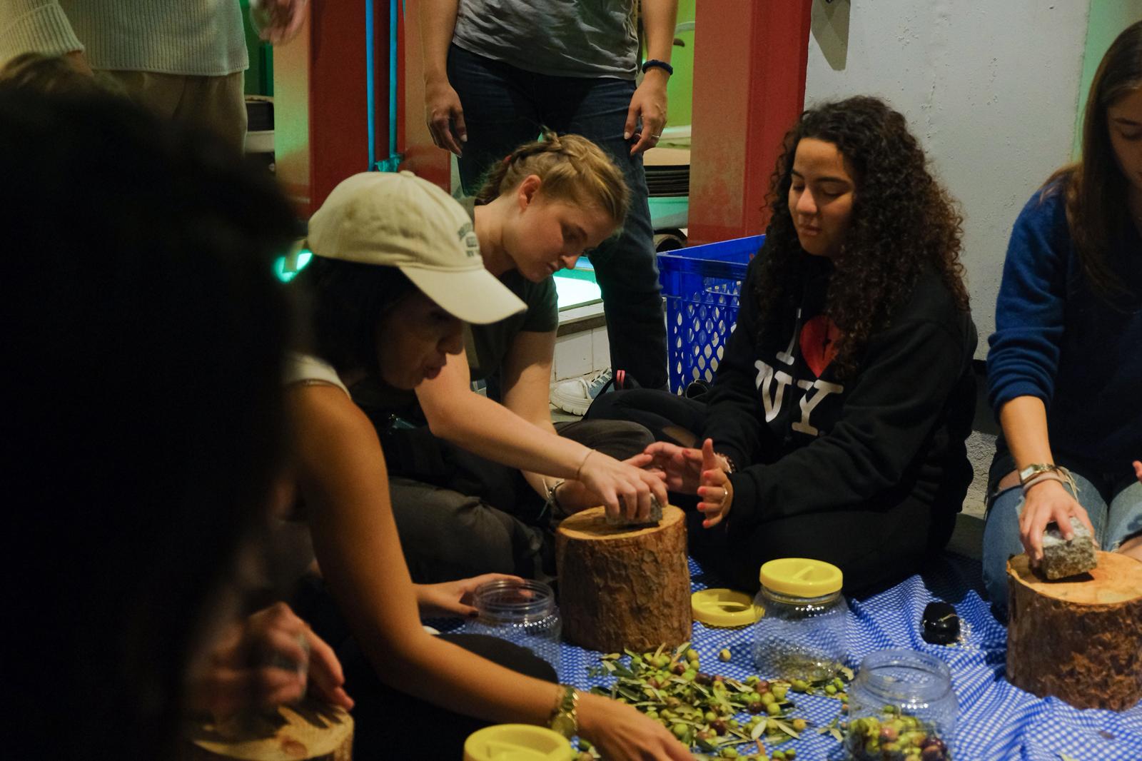 01-4 Ayvalık’ta Uluslararası Gençlik Projesi Kapsamında Zeytin Kültürü Deneyimi