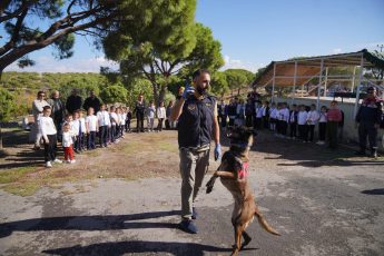 02-3-345x230 AYVALIK BELEDİYESİ’NDEN DÜNYA HAYVANLARI KORUMA GÜNÜ’NDE ANLAMLI MESAJ: “SATIN ALMA, SAHİPLEN”