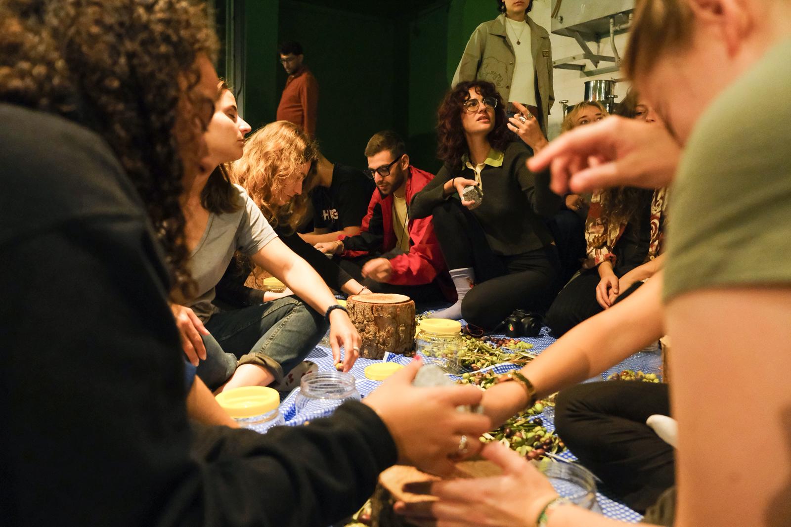 02-4 Ayvalık’ta Uluslararası Gençlik Projesi Kapsamında Zeytin Kültürü Deneyimi