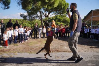 03-2-345x230 AYVALIK BELEDİYESİ’NDEN DÜNYA HAYVANLARI KORUMA GÜNÜ’NDE ANLAMLI MESAJ: “SATIN ALMA, SAHİPLEN”