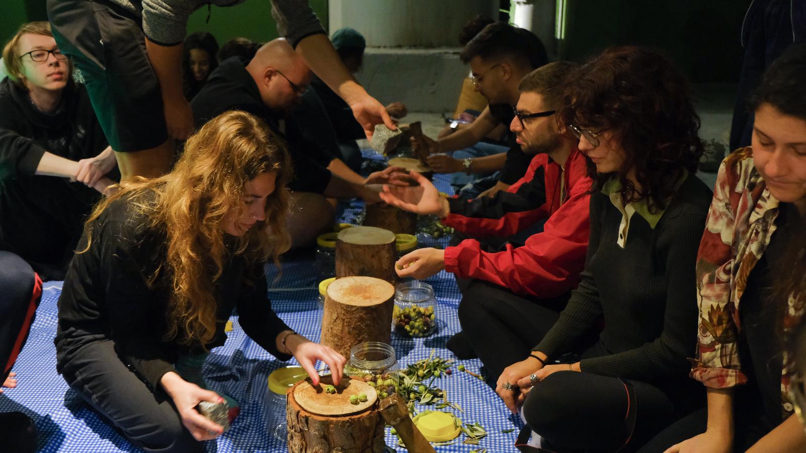 03-3 Ayvalık’ta Uluslararası Gençlik Projesi Kapsamında Zeytin Kültürü Deneyimi