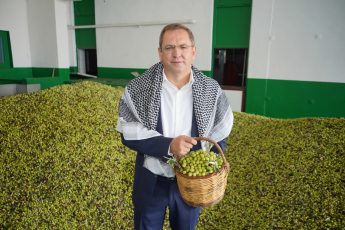 04-2-1-345x230 20. Ayvalık Uluslararası Zeytin Hasat ve Turizm Festivali Başlıyor…