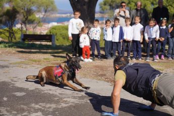 04-2-345x230 AYVALIK BELEDİYESİ’NDEN DÜNYA HAYVANLARI KORUMA GÜNÜ’NDE ANLAMLI MESAJ: “SATIN ALMA, SAHİPLEN”