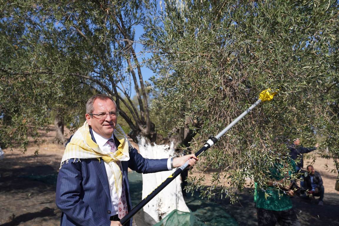05-3 20. Ayvalık Uluslararası Zeytin Hasat ve Turizm Festivali Başlıyor…