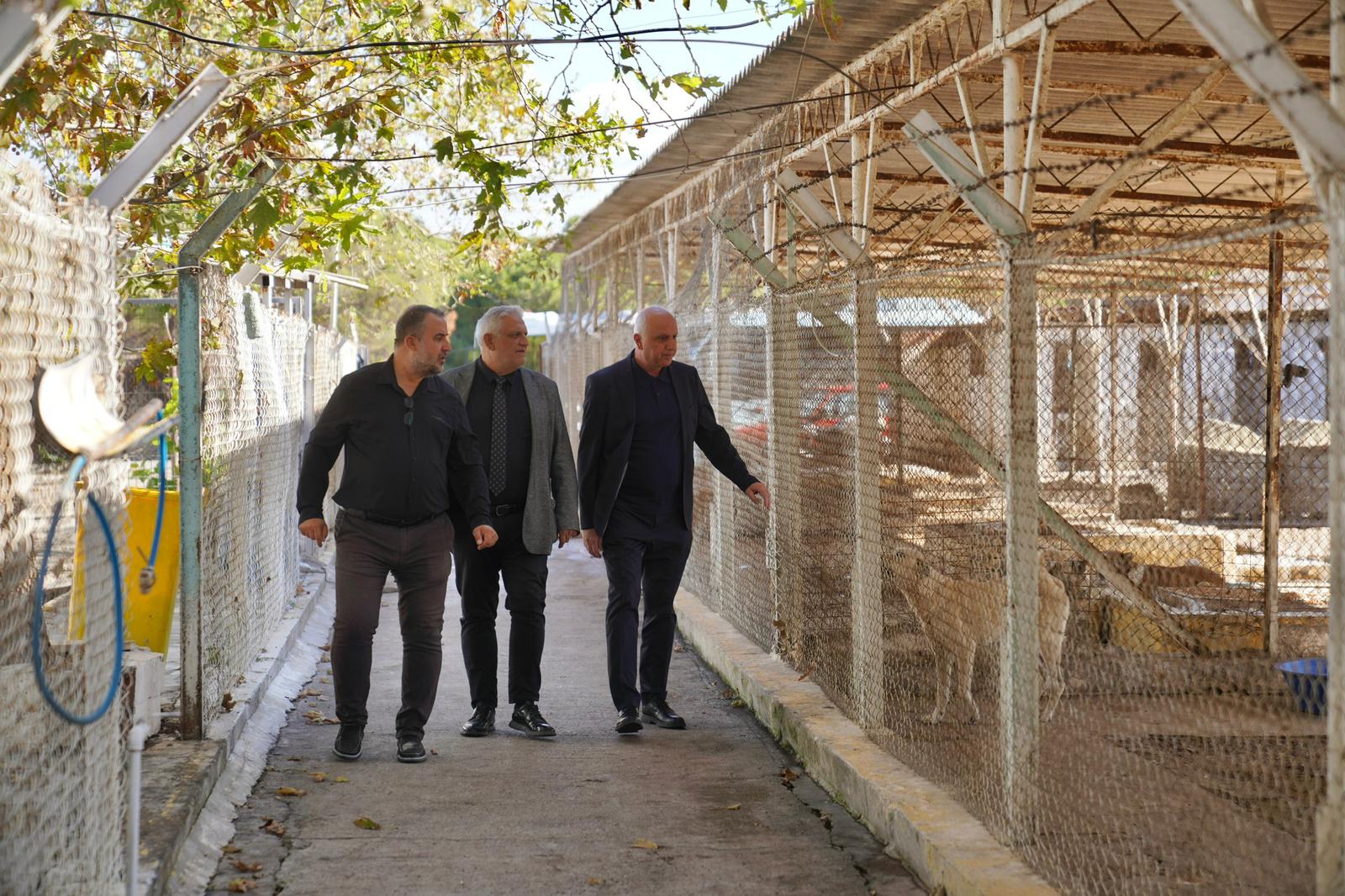 07-2 AYVALIK BELEDİYESİ’NDEN DÜNYA HAYVANLARI KORUMA GÜNÜ’NDE ANLAMLI MESAJ: “SATIN ALMA, SAHİPLEN”