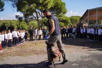 08-2-345x230 AYVALIK BELEDİYESİ’NDEN DÜNYA HAYVANLARI KORUMA GÜNÜ’NDE ANLAMLI MESAJ: “SATIN ALMA, SAHİPLEN”
