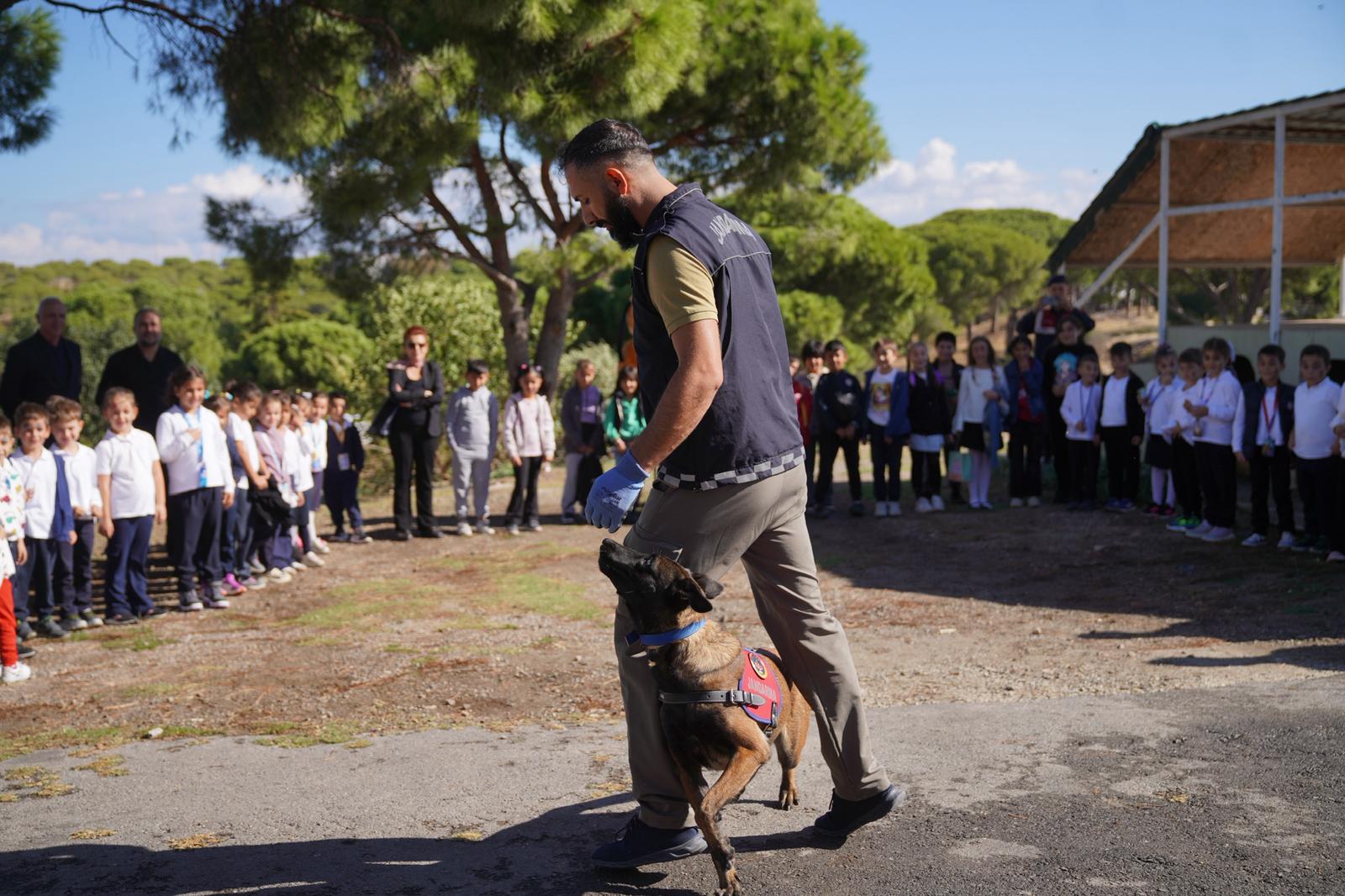 08-2 AYVALIK BELEDİYESİ’NDEN DÜNYA HAYVANLARI KORUMA GÜNÜ’NDE ANLAMLI MESAJ: “SATIN ALMA, SAHİPLEN”
