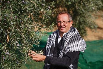 09-1-345x230 20. Ayvalık Uluslararası Zeytin Hasat ve Turizm Festivali Başlıyor…