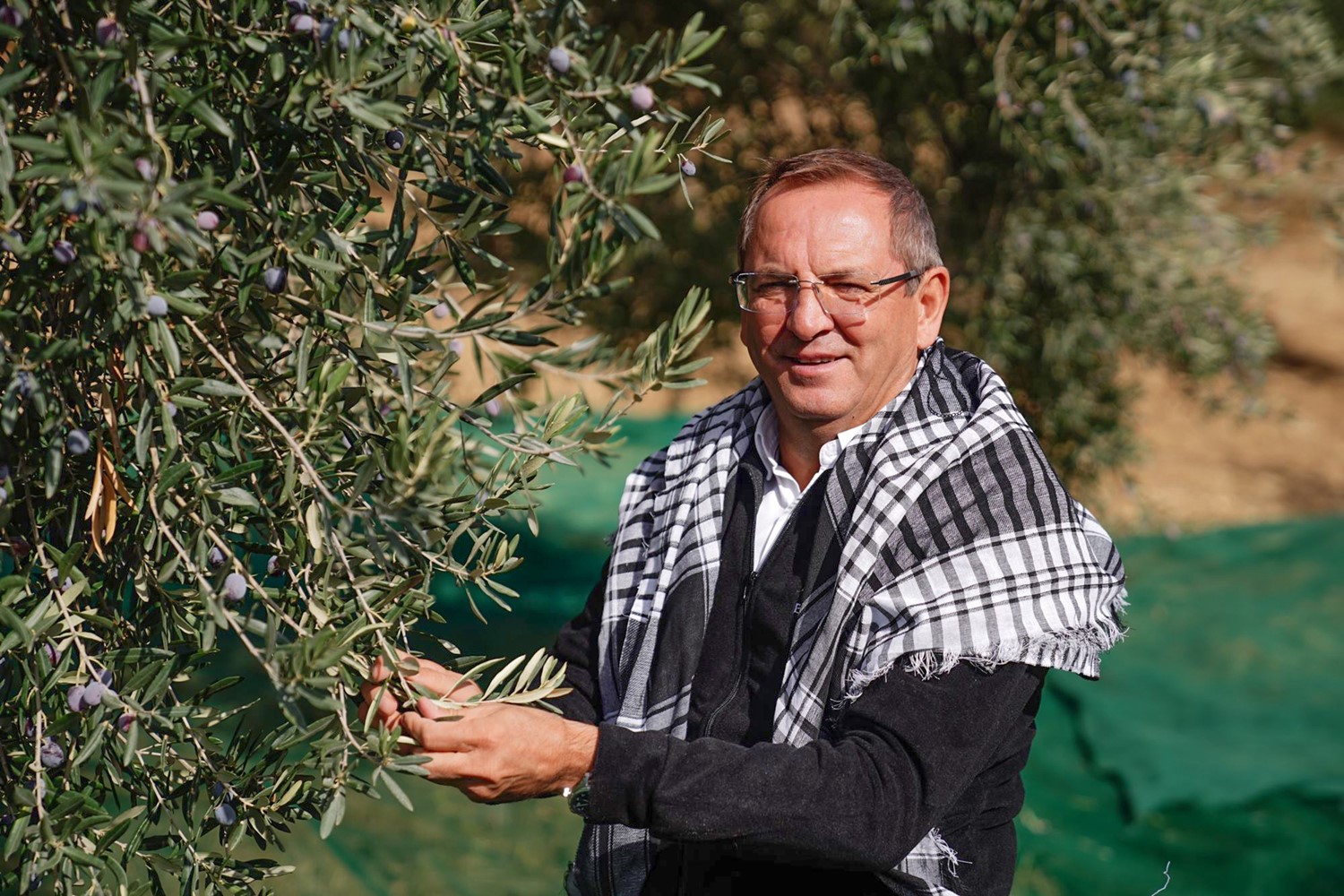 09-1 20. Ayvalık Uluslararası Zeytin Hasat ve Turizm Festivali Başlıyor…