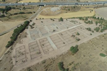 1-1-4-345x230 Başkan Akın’dan can dostlar için ‘Doğal Yaşam Alanı’ müjdesi