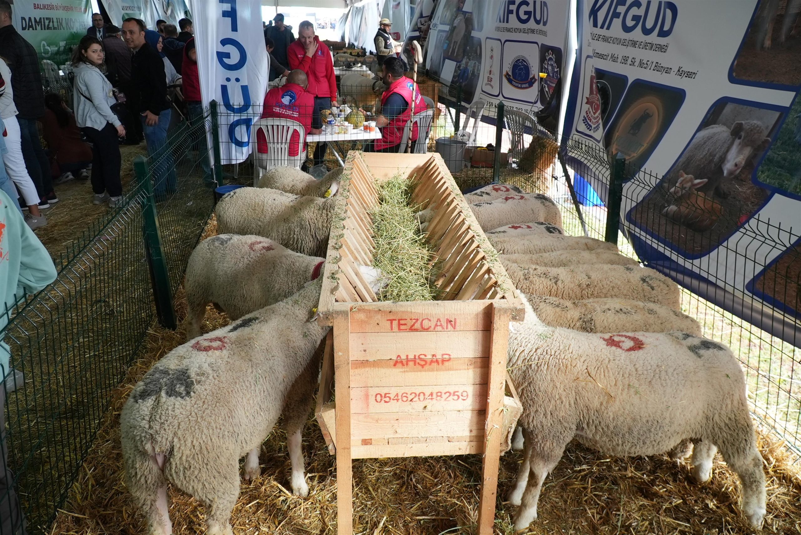 1-1-5-scaled BALIKESİR TARIM VE HAYVANCILIK FUARI ZİYARETÇİ REKORU KIRDI