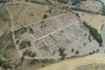 1-2-4-345x230 Başkan Akın’dan can dostlar için ‘Doğal Yaşam Alanı’ müjdesi