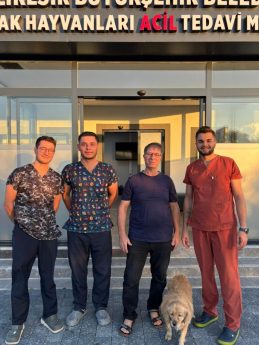 1-2-5-259x345 Balıkesir Büyükşehir Belediyesi, Balıkesirde bir ilki gerçekleştirerek Gofret’i hayata döndürdü