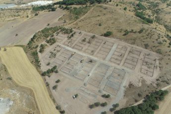 1-3-4-345x230 Başkan Akın’dan can dostlar için ‘Doğal Yaşam Alanı’ müjdesi