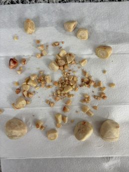 1-3-5-259x345 Balıkesir Büyükşehir Belediyesi, Balıkesirde bir ilki gerçekleştirerek Gofret’i hayata döndürdü