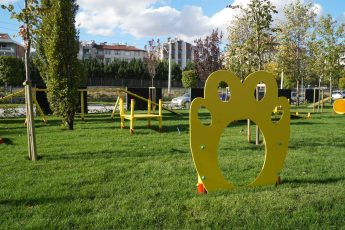 1-5-2-345x230 Ahmet Akın, can dostları Pati Park ile buluşturdu