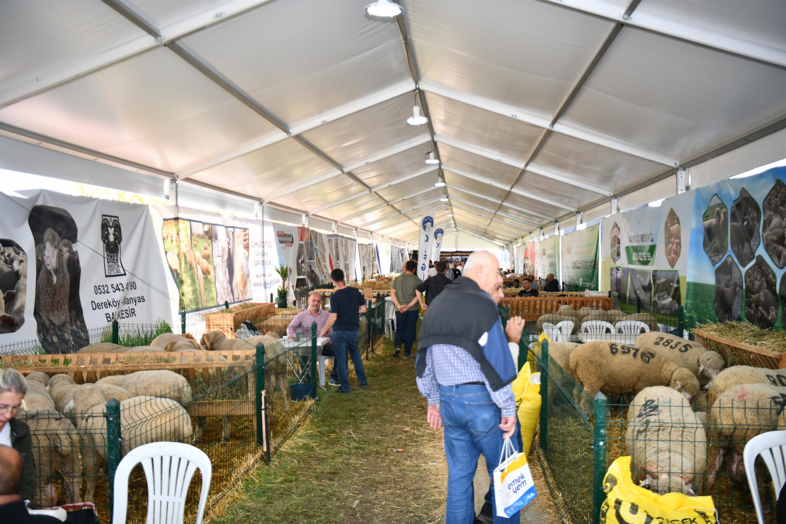 1-5-2-scaled BALIKESİR TARIM VE HAYVANCILIK FUARI ZİYARETÇİ REKORU KIRDI