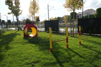 1-6-2-345x230 Ahmet Akın, can dostları Pati Park ile buluşturdu