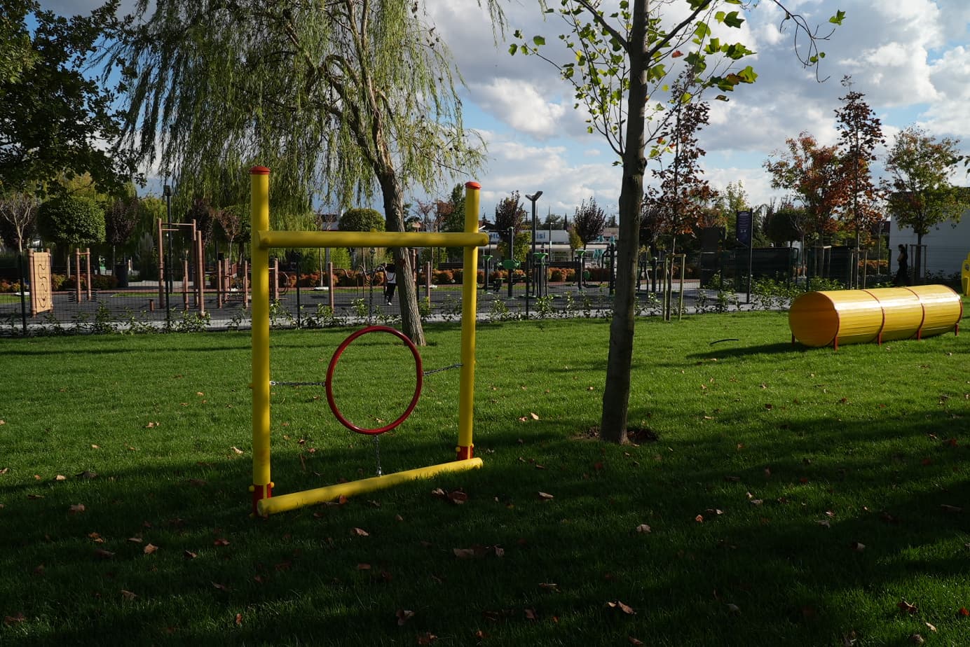 1-7-2 Ahmet Akın, can dostları Pati Park ile buluşturdu