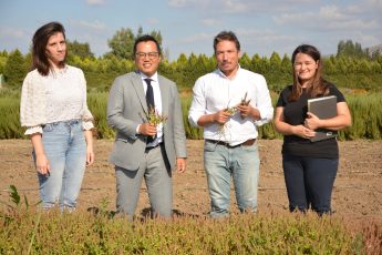 1-7-345x230 Hindistan Başkonsolosu Shiri Mijito Vinito’dan BAÇEM’e Ziyaret