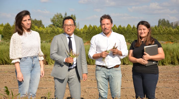 Hindistan Başkonsolosu Shiri Mijito Vinito’dan BAÇEM’e Ziyaret