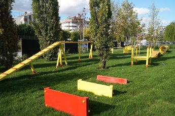 1-9-1-345x230 Ahmet Akın, can dostları Pati Park ile buluşturdu