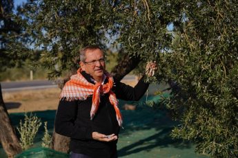 13-1-345x230 “Yerin altının değil, üstünün daha kıymetli olduğuna inanıyorum” diyen Başkan Mesut Ergin; “ZEYTİNYAĞI AYVALIK’IN VAZGEÇİLMEZ BİR KÜLTÜRÜDÜR”