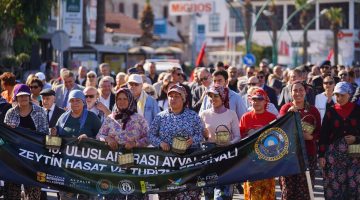 ZEYTİN HASADI, KONSERLER, ZEYTİN VE ZEYTİNYAĞI PAZARI, SÖYLEŞİLER, PANELLER, WORSHOPLAR İLE DOPDOLU BİR FESTİVAL…