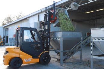 8-4-345x230 BURHANİYE'DE ZEYTİN HASADI BAŞLADI