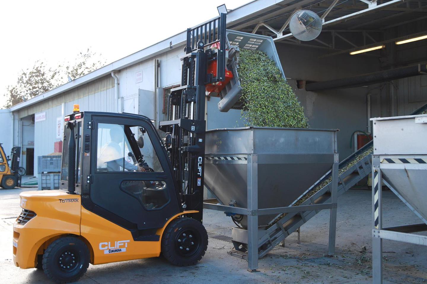 8-4 BURHANİYE'DE ZEYTİN HASADI BAŞLADI