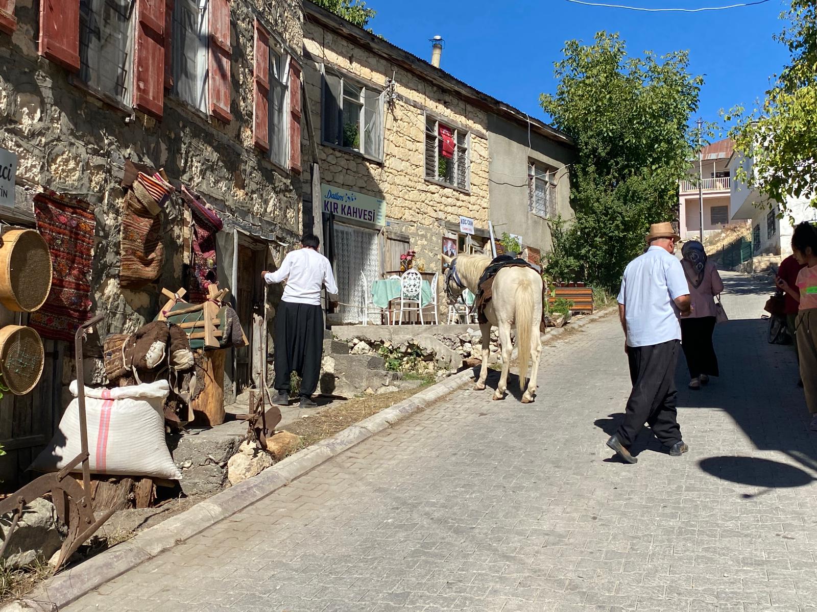 LIMON-CICEKLERI-13 ZİYARETÇİLER FİLM TADINDA BİR GÜN YAŞADI