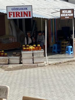 LIMON-CICEKLERI-26-259x345 ZİYARETÇİLER FİLM TADINDA BİR GÜN YAŞADI