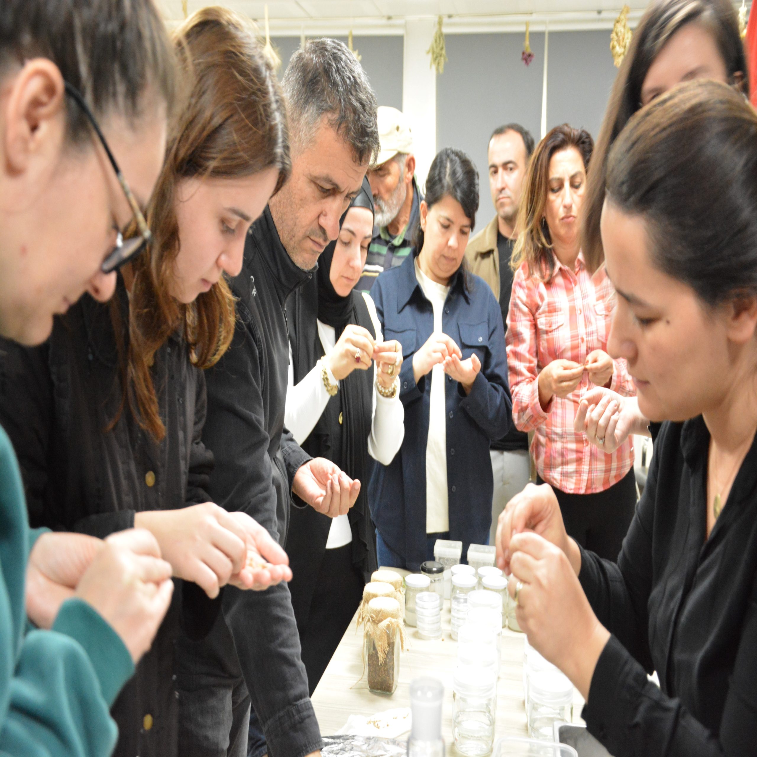 bacemde_v._bitki_doku_kulturu_kursu_tamamlandi_10_custom-scaled BAÇEM’de V. Bitki Doku Kültürü Kursu Tamamlandı