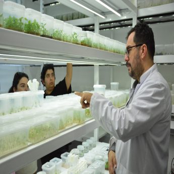 bacemde_v._bitki_doku_kulturu_kursu_tamamlandi_2_custom-345x345 BAÇEM’de V. Bitki Doku Kültürü Kursu Tamamlandı