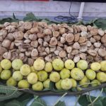 1766664670 1682663754 1640152546 20190902