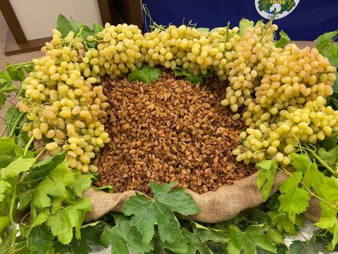 1766664689_1746788886_1635406359_CEKIRDEKSIZ_KURU_UZUM__1_-480x360 Kuru Meyve Sektörü 2025’i Masaya Yatırdı