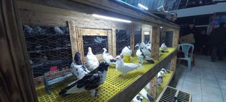 20251227_202629-448x202 Anahtar Parti Sahada | Yavuz Ağıralioğlu’nun Mesajları Balıkesir’den Yükseldi