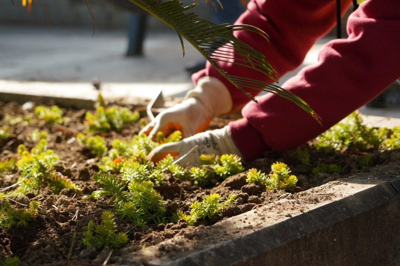 599925932_871360118588348_8185980489898979674_n Park ve yeşil alanları ile nefes alan Edremit