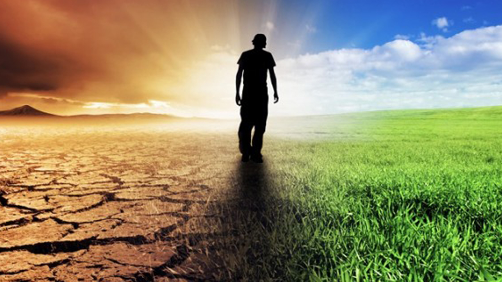 İklim Krizi Neden Normalleştiriliyor? Alışmamız İstenen Yeni Gerçeklik