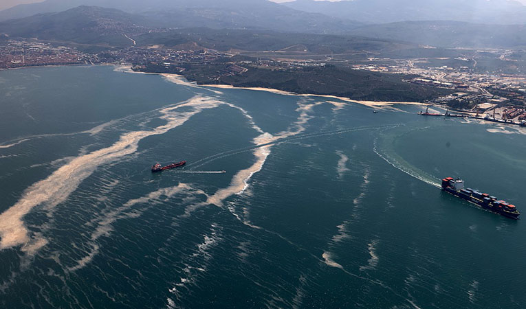Su Krizi ve Küresel Isıtma Rehberi: Geleceği Şekillendiren Sessiz Tehdit