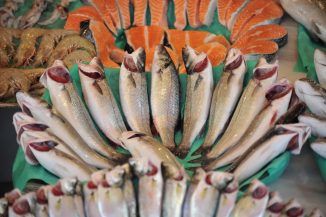 1768223891 1718344950 1699708683 1611814954 BALIK3