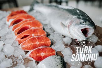 1768223910 1729057503 1652356271 1647001468 IMG 20200410 WA0007