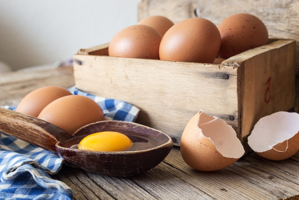 1768223926 YUMURTA 1