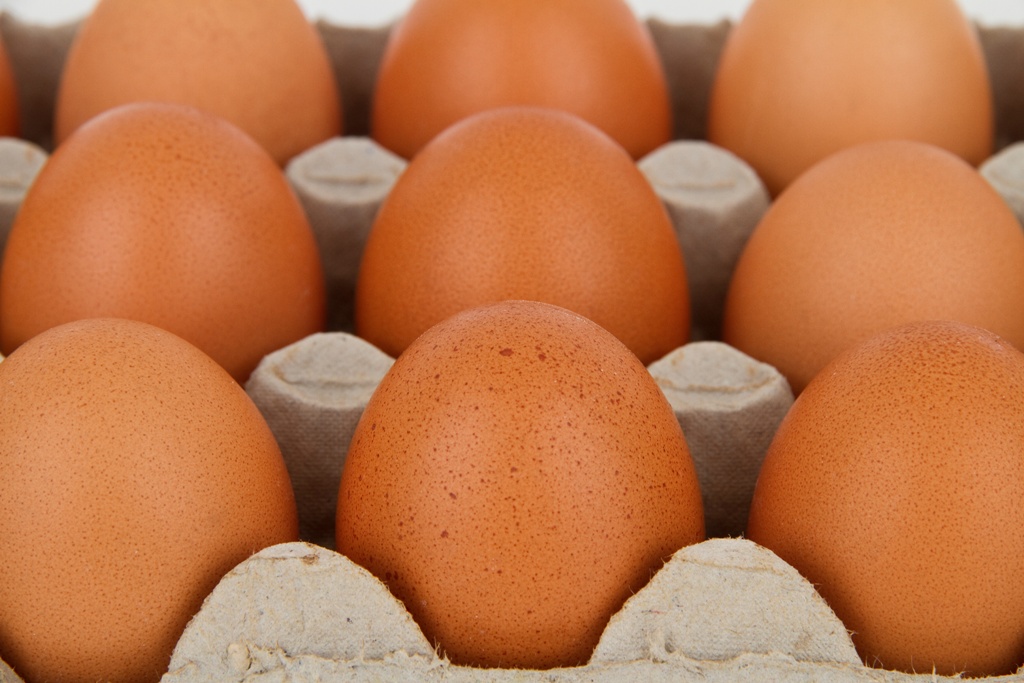 1768223932 YUMURTA 3