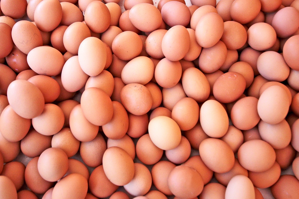 1768223937 YUMURTA 6